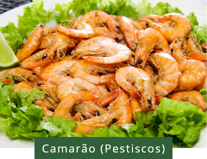 imagem ilustrativa de camarão